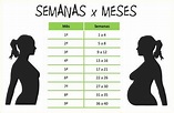 24 semanas sao quantos meses de gestaçao | BabyCenter