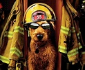 Firehouse Dog Movie Review and Ratings by Kids