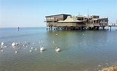 Introduction to Walvis Bay - fun 4 hour private tour