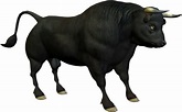 Bull PNG Photo | PNG Mart