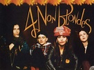 4 Non Blondes | Wiki | Grunge Needs Amino