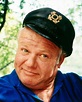 Still of Alan Hale Jr. in Gilligan's Island (1964) | Alan hale jr ...