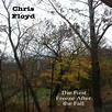 Album The First Freeze After the Fall, Chris Floyd | Qobuz: download ...