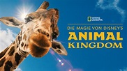 Die Magie von Disney's Animal Kingdom (2020) - Disney+ | Flixable