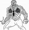 Dibujos De Venom Para Colorear, Descargar E Imprimir Colorear Imágenes ...