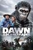 Dawn of the Planet of the Apes: Humans and Apes: The Cast of 'Dawn ...