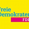Interview Schlömer: Warum der Ex-Piratenchef in die FDP eingetreten ist ...