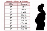 Tabela de meses e semanas da gestação | Clube Materno