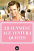 28 Ace Ventura Quotes That'll Have You Proclaiming, 'Alrighty Then ...