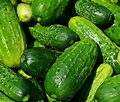 Cucumber Spacemaster Organic Cucumis Sativus Seeds