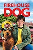 Firehouse Dog (2007) - Posters — The Movie Database (TMDB)