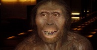 Lucy la Australopithecus: ¿quién era y cómo fue su vida?