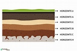 Horizontes del suelo: estructura y factores - Resumen