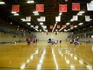 Old "Bear Down" Gym, U of AZ campus, Tucson, AZ, 2010 | Campus ...