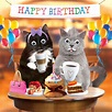 Happy Birthday With Cats Images - Cat Meme Stock Pictures and Photos