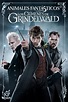 Ver Animales fantásticos 2: los crímenes de Grindelwald (2018) Pelicula ...