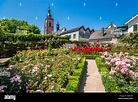 Schloss und der Stadt Eltville am Rhein, Deutschland Stockfotografie ...