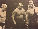 The Laurinaitis brothers: Johnny Ace, Road Warrior Animal and The ...