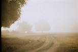 Free Images : fog, mist, sunlight, morning, atmosphere, weather, haze ...