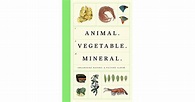Animal Vegetable Mineral: Organised Nature by Wellcome Collection