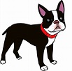 Printable Image Boston Terrier Svg Instant Download Terrier Png Dog ...