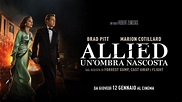 ALLIED - UN'OMBRA NASCOSTA con Brad Pitt e Marion Cotillard - Trailer ...