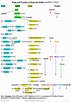 Family Tree of the Kings of Israel and Judah | David T. Lamb