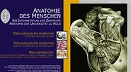 anatomiedesmenschen.uni-koeln.de - Anatomie des Menschen - Ein In ...