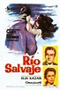 Película: Río Salvaje (1960) - Wild River | abandomoviez.net