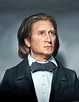 "Franz Liszt", Painting by Péter Duhaj | Artmajeur
