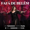 BLOG DO DANI CDS 3 ACERVOS DE MÚSICAS NOVAS E ANTIGAS: FAFÁ DE BELÉM DO ...