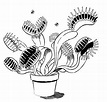 venus flytrap illustration | Venus fly trap, Spooky tattoos, Drawings