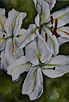 Watercolour Lilies - By Julie Sneeden | Painting, Watercolor, Art