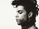 Prince 4k Ultra HD Wallpaper and Background Image | 4445x3334 | ID:313497