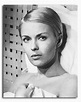(SS2269007) Movie picture of Jean Seberg buy celebrity photos and ...