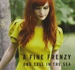 One Cell in The Sea: Fine Frenzy, A Fine Frenzy, Alison Sudol, Lukas ...