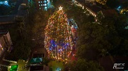 獨／別再爭了！全台最高聖誕樹在這裡 2500顆燈泡閃耀 | 生活 | 三立新聞網 SETN.COM