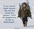 14 Thought Shattering Quotes From 'Into The Wild' That Will Set Your ...