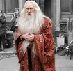 Richard Harris Harry Potter