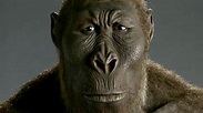 Video: Paranthropus boisei - [GEOLINO]