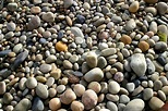 Pebbles on the beach Free Photo Download | FreeImages