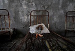 Fotos: Chernóbil, 35 años de la mayor tragedia nuclear de la historia ...