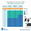 Calculate "dog years" to find out how old your dog will actually be ...