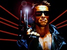 The Terminator - Terminator Wallpaper (24509190) - Fanpop