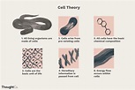 Cell Theory: A Core Principle of Biology