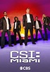 CSI: Miami - Ver la serie online completas en español