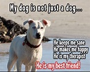 My Dog Is Not Just A Dog He Is My Best Friend | Dog best friend quotes ...