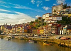 Las 10 mejores cosas que hacer y que ver en Oporto | Skyscanner Espana