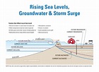 Sea Level Rise | Skagit Climate Science Consortium