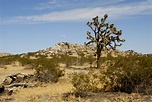 File:Lancaster, California desert.jpg - Wikimedia Commons